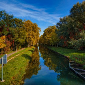 Herbst am Canal
